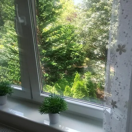 Zielone Tarasy - Amfiteatr